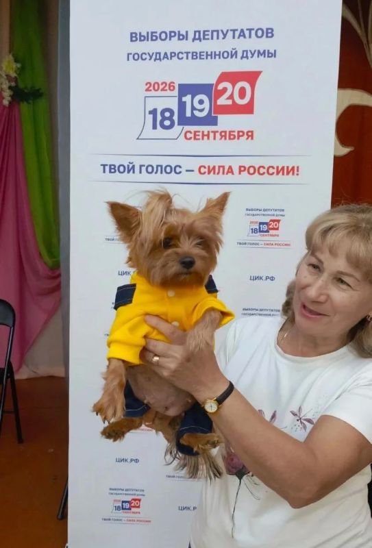 До завершения голосования – полтора часа! До завершения голосования – полтора часа!