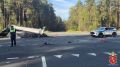 Из-за ДТП в Ковровском округе затруднёно движение Авария произошла сегодня утром на федеральной трассе. По предварительной информации, водитель большегрузного автомобиля не справился с управлением, допустил съезд в кювет...