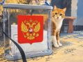 Стартовал заключительный день голосования на выборах депутатов Госдумы РФ