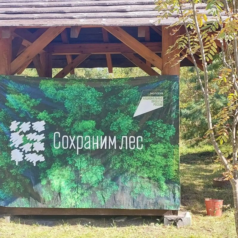 Живой памятник подвигу. В минувшие выходные, в День работников леса, в поселке Андреево Судогодского округа - особенный день Живой памятник подвигу. В минувшие выходные, в День работников леса, в поселке Андреево Судогодского округа - особенный день