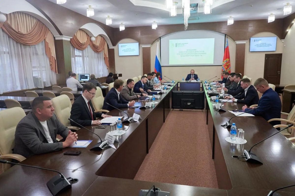 Совет молодых депутатов Владимирской области выбрал руководящий состав Совет молодых депутатов Владимирской области выбрал руководящий состав