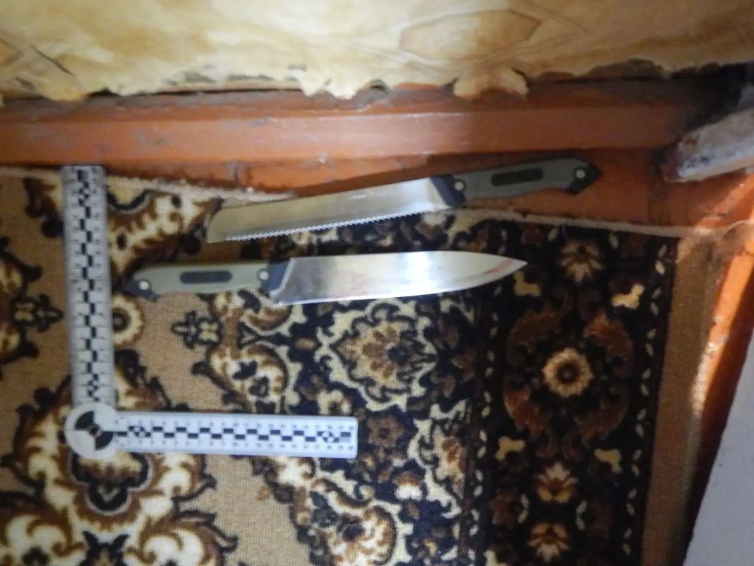 В Камешково прокурор направил в суд уголовное дело в отношении иностранного гражданина, нанесшего ножевые ранения своей знакомой В Камешково прокурор направил в суд уголовное дело в отношении иностранного гражданина, нанесшего ножевые ранения своей знакомой