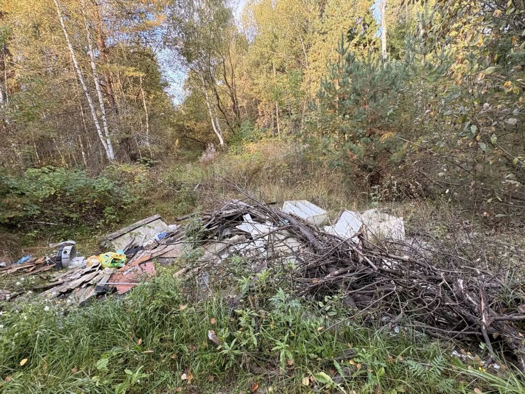В Меленках прокурор добивается ликвидации несанкционированной свалки В Меленках прокурор добивается ликвидации несанкционированной свалки