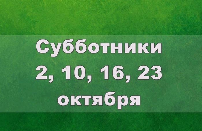 В Коврове объявлен месячник санитарной уборки