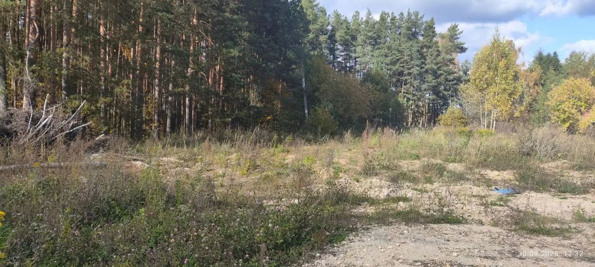 В Собинке суд удовлетворил иск межрайонного прокурора об организации на территории муниципального округа места для складирования снега
