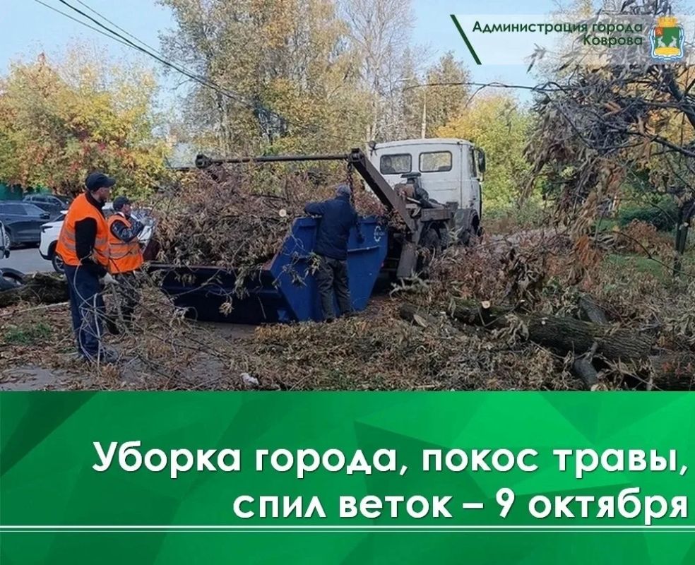 Сегодня, 9 октября, в микрорайоне Черёмушки проводятся работы по спилу веток около дорожных знаков