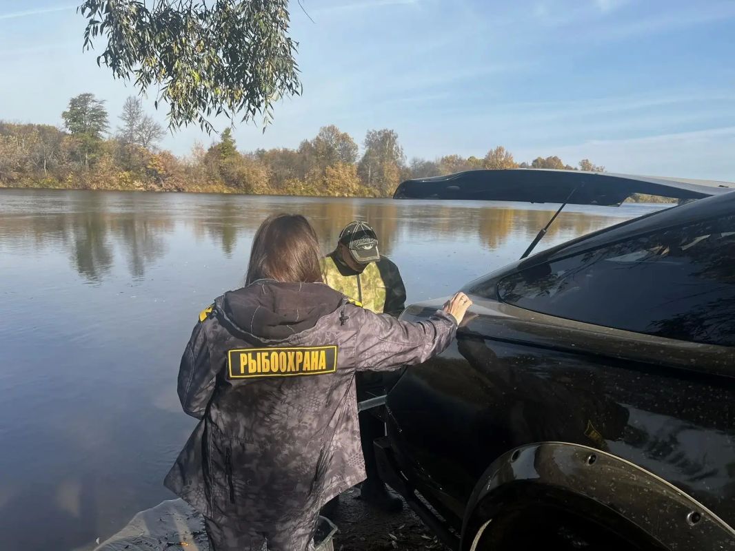 Во Владимирской области в Клязьму выпустили 439 штук молоди сазана Во Владимирской области в Клязьму выпустили 439 штук молоди сазана