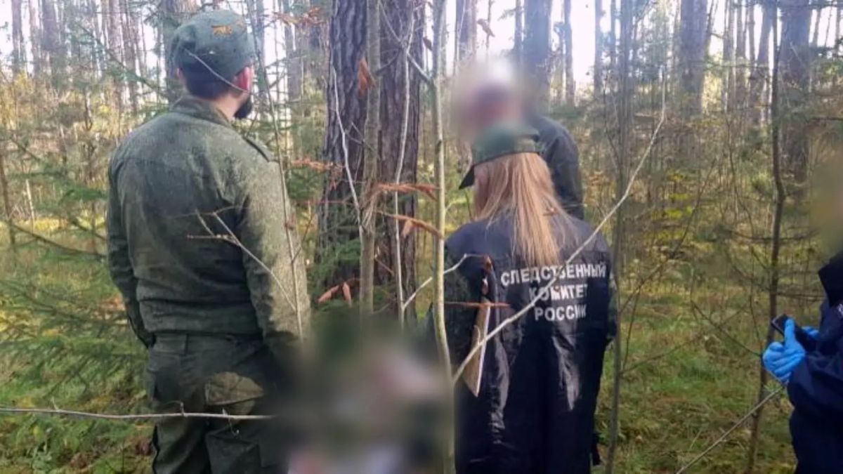 Четверо жителей Судогды убили пришедшую к ним в гости девушку