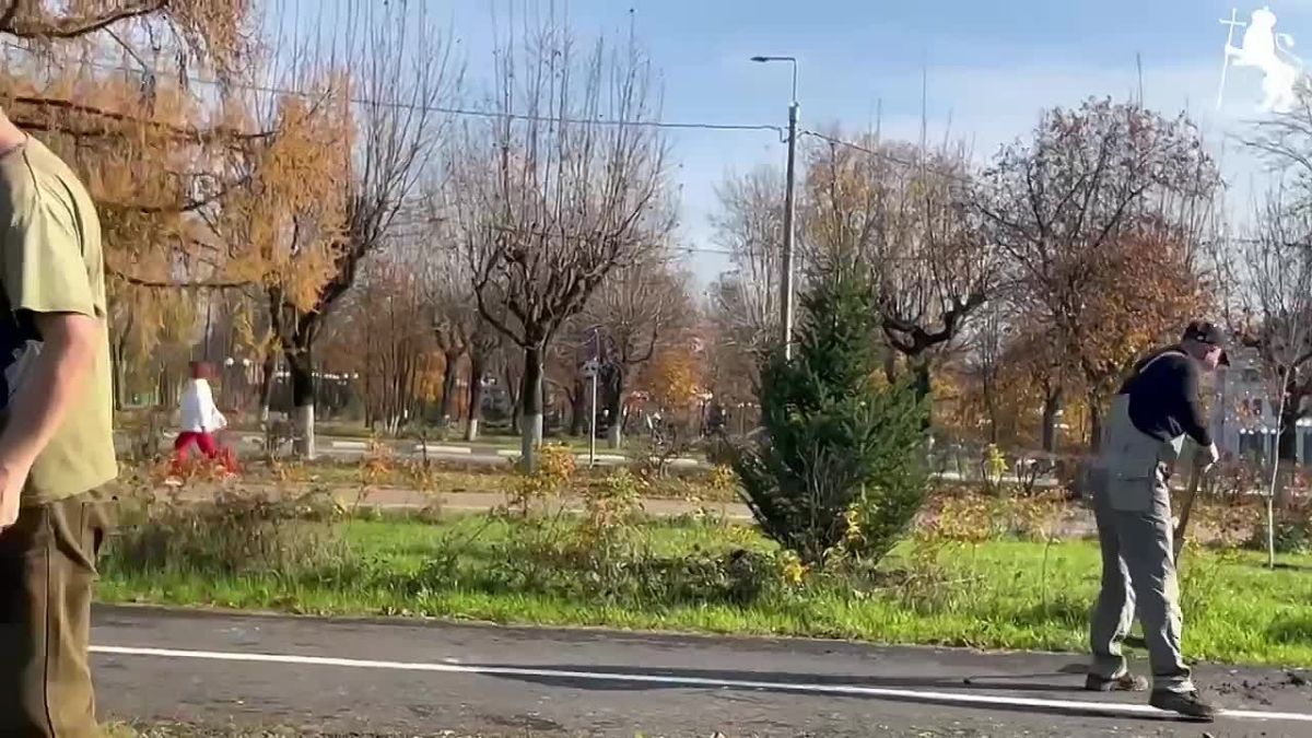 Озеленение Владимира: итоги года и планы на будущее