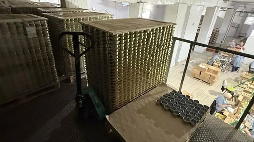 Во Владимирской области Россельхознадзор остановил оборот 821 тонны рыбной продукции