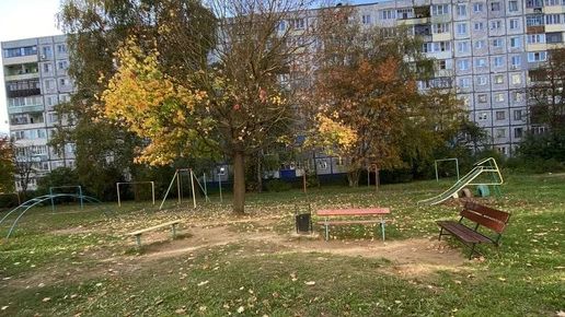 «Уберите музыку или открою огонь»: житель Александрова стрелял во дворе многоэтажки
