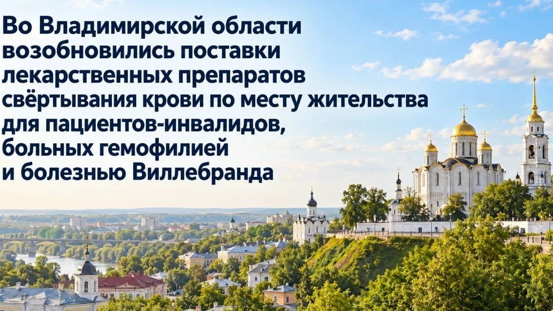 Владимирская региональная организация ОБООИ «Всероссийское общество гемофилии» выразила признательность губернатору Владимирской области Александру Авдееву, и. о. министра здравоохранения Нелли Зиновьевой, и. о. директора...