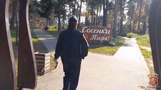 В Александрове полиция усмирила гуляк из парка «Сосенки»