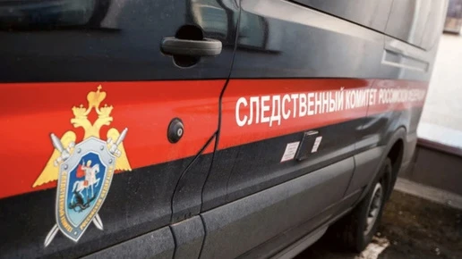 Жителя Кольчугино будут судить за нападение на сотрудника Росгвардии