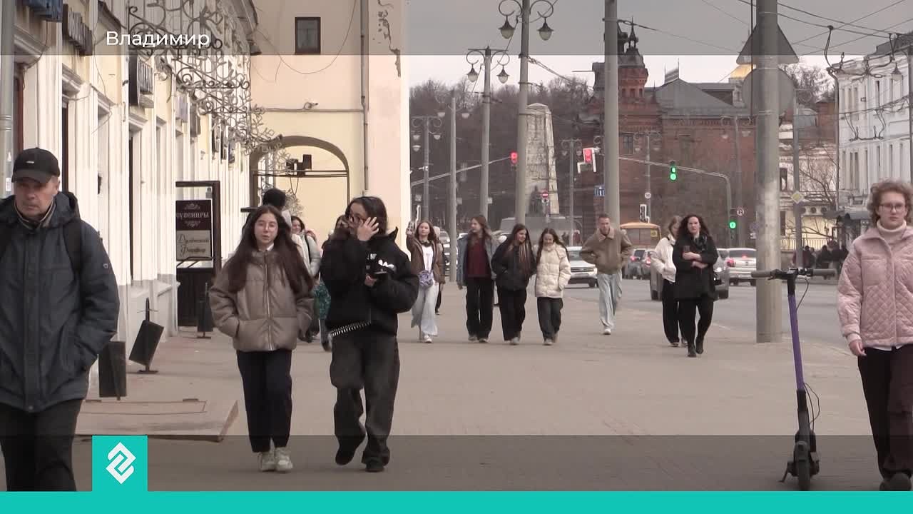 Владимирское Госюрбюро помогло сотням льготников и ветеранов СВО защитить свои права