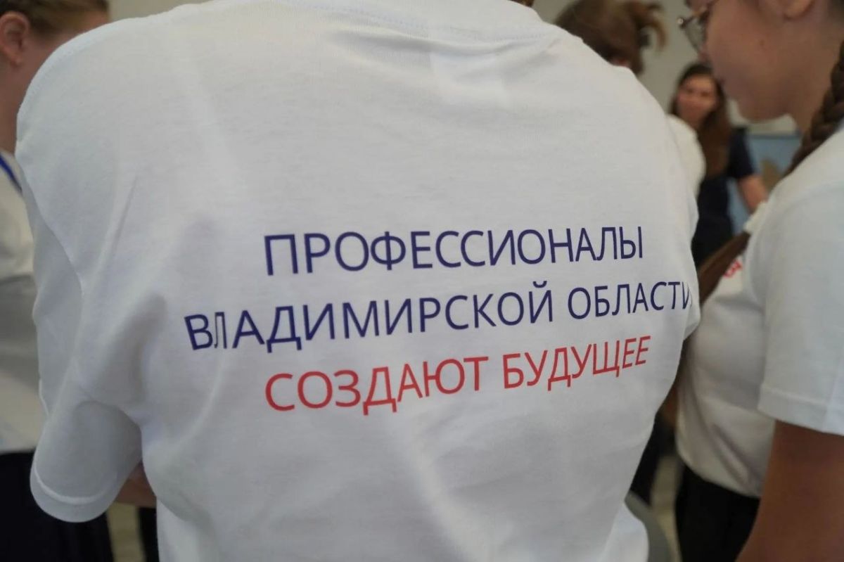 Кто станет лучшим юным педагогом Владимирской области? Кто станет лучшим юным педагогом Владимирской области?