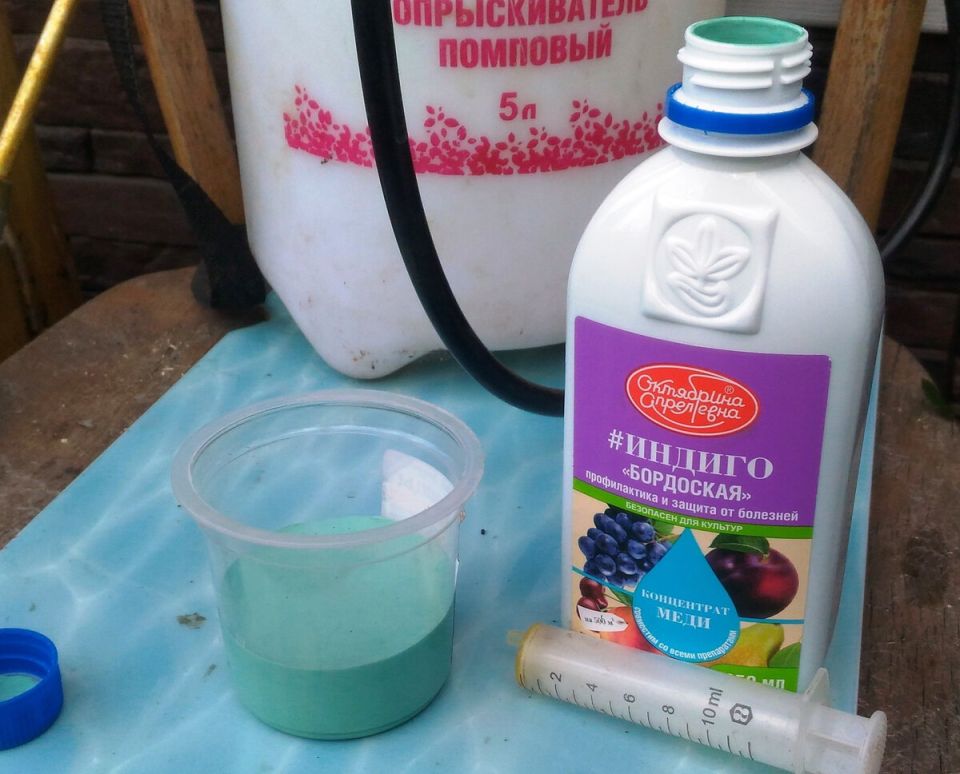 Плодовый сад под защитой: как новый фунгицид