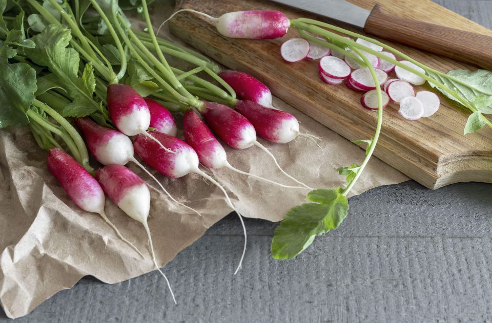 � ����� ������ ����� �� �����: ��� ��������� ������ ������ ������