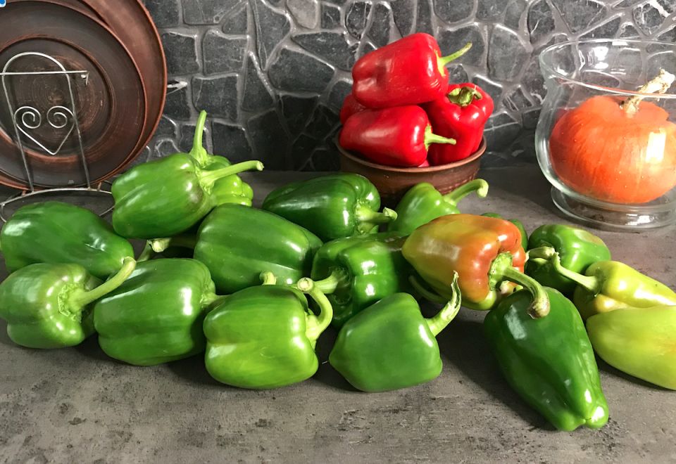 ��������� ���������� �����: ���� ��������!