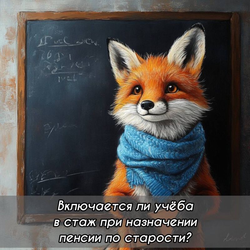 Учеба на пенсии: как влияет учебный стаж при назначении льгот