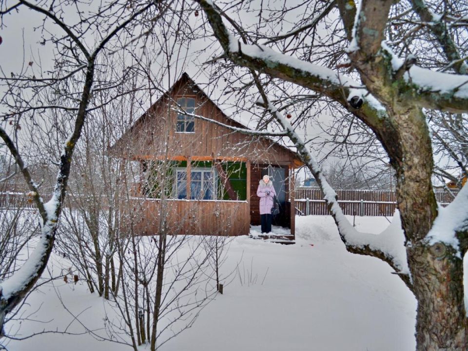 Как подготовить сад к весеннему сезону: важные шаги для успеха