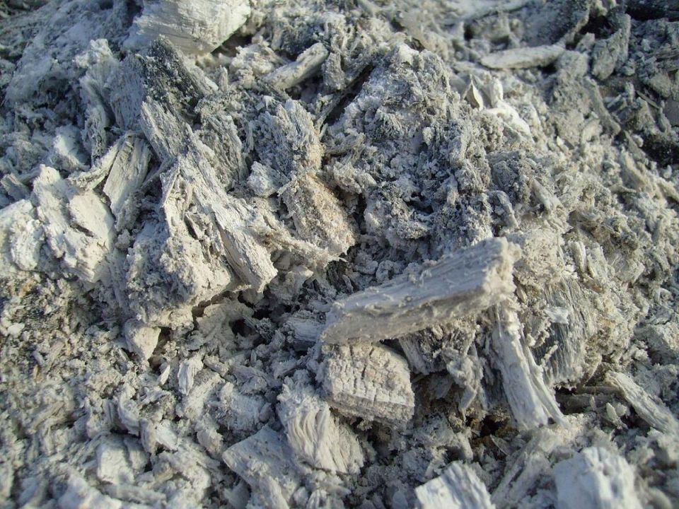 ��������� ��������� ����: ��� �������� ������� � ����������