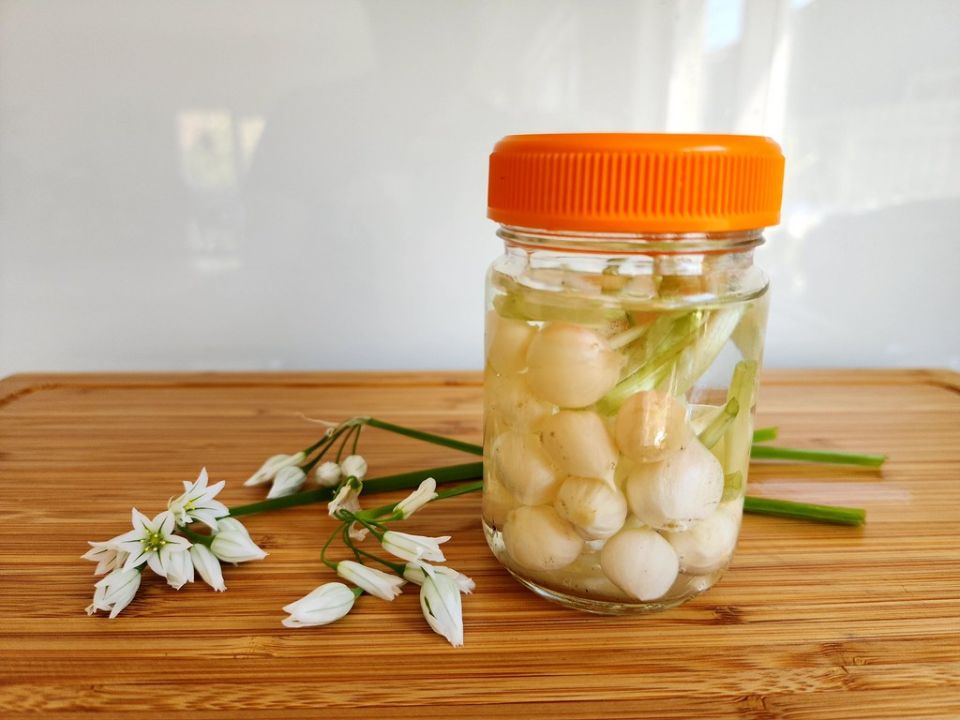 �������� �����: ������ � ��������� ����������� �� �������������