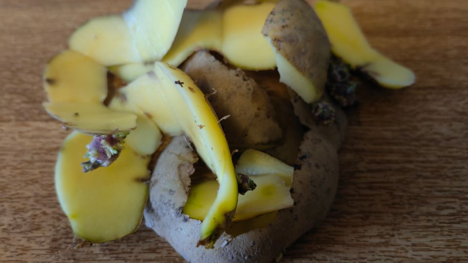 ��� ����������� ������������ ������� ������ ������ ������ �� ������