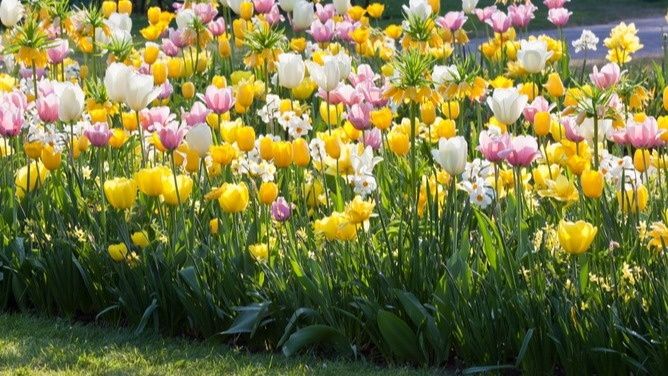 ��� ���������� � ���������� �������: ����� ������� ��� ���������� ����