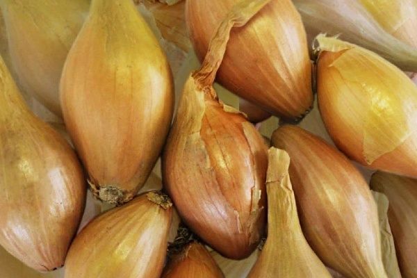 ���-����� ������� �������: ������� ������ � ����������� �����