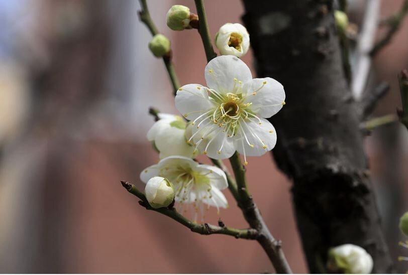 �������� ������: ��� �������� �������� ������� �� ��������