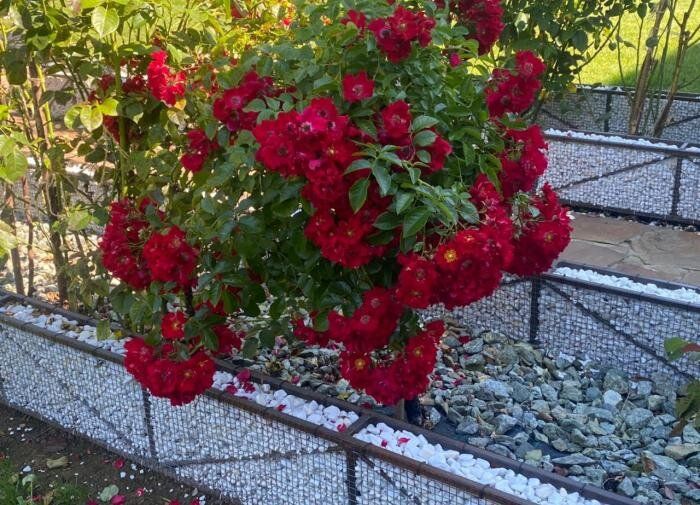 ��� ��������� ���� � �����: �������� ������ � ������ �� �����