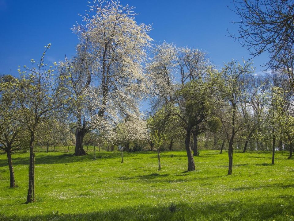 �������� ���� �� �����: ��� ������ � ������ � �������