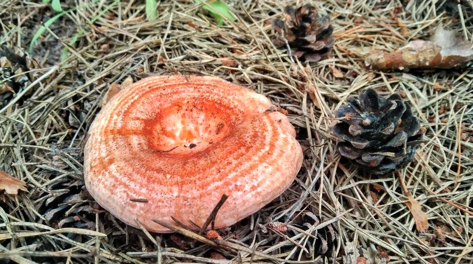 ������: ��������� ����� � �������� �������