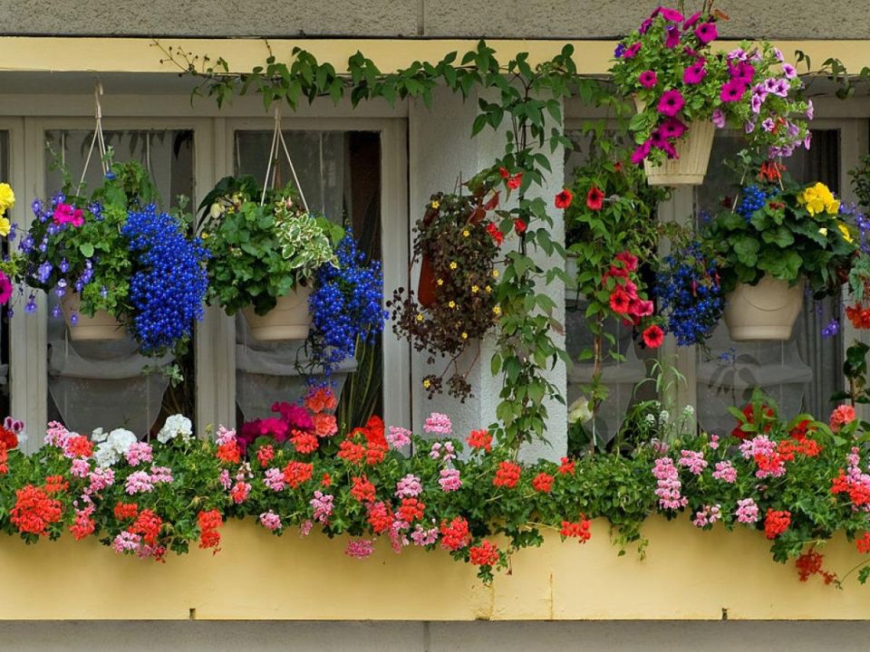 ������������ ��� �� �������: ��� ���������� ������� ������ � ������� �����