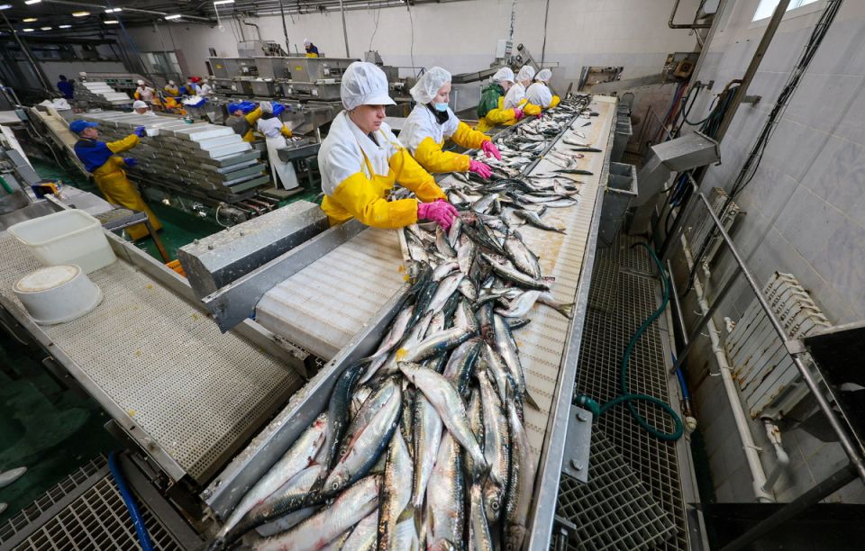 Рыбная цена под контролем биржи: новые правила мониторинга