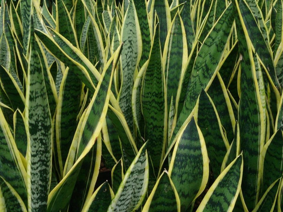 ������� ���� ��� ��������� ������������ ��� �������� �������� � ��� ������������