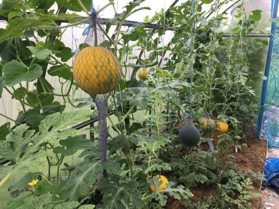 ��������� � �������: ��� ������������ �������� �������� ��������� ������