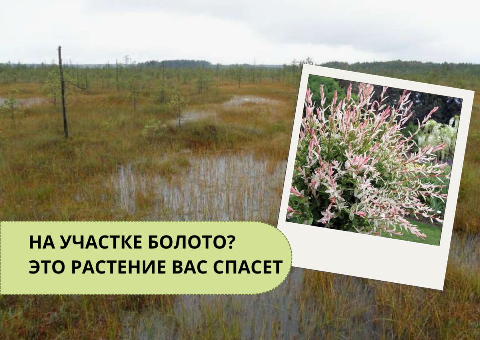 ��� ��� �� ������ ������� ���������� ������������ ���������� � ����