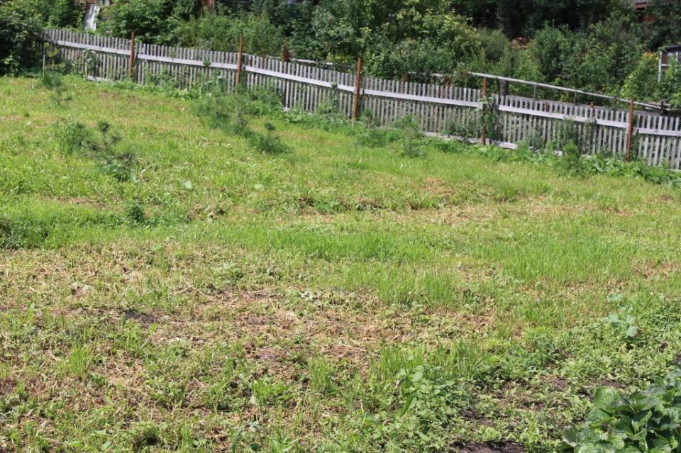 Как озеленить участок на склоне: советы по укреплению и выбору растений