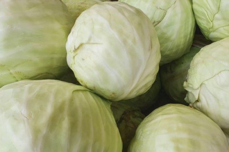 Какой кочан капусты лучше выбросить, чем съесть: хозяйкам следует знать