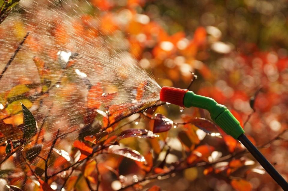 Как подготовить сад к зиме: лучшие осенние препараты для защиты растений