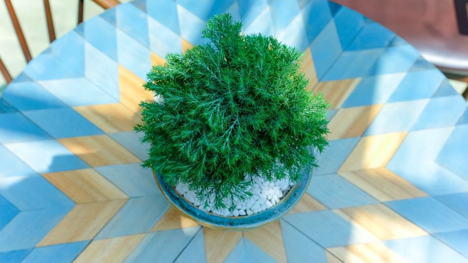 Вода сделает только хуже: вот как на самом деле нужно хранить зелень