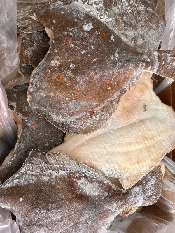 ������� ������������: ������ ���� ��� ������