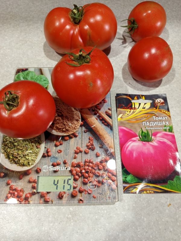 ����� �������: ������� ������������ ������ � ������������� �����