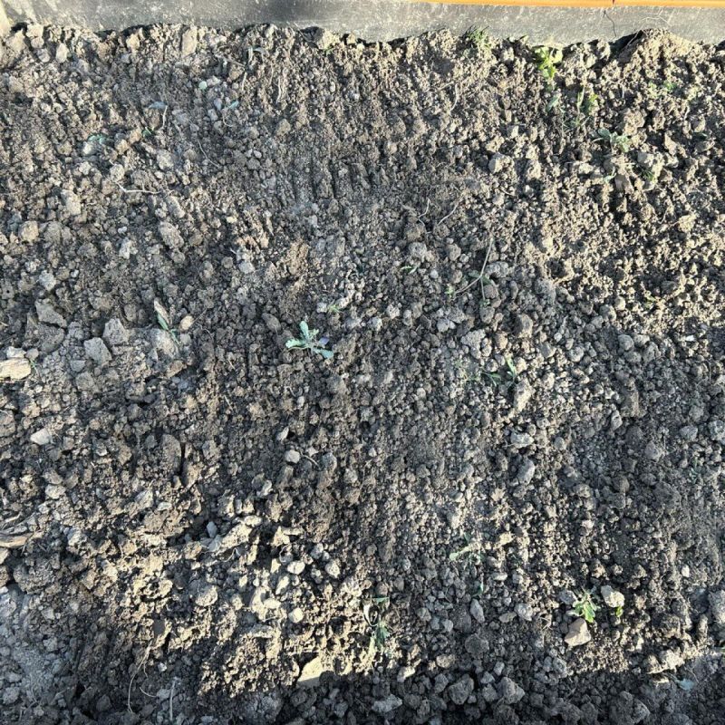 ��� �������� ����� ������������ �������� ����� �����