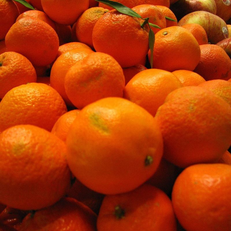 ������ ����������: ������������ ������� ��� ������ ����