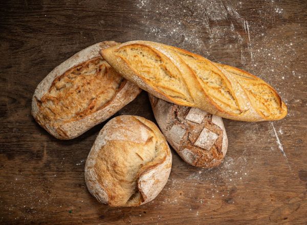 �����: �������, ������������ � ���������� ��������