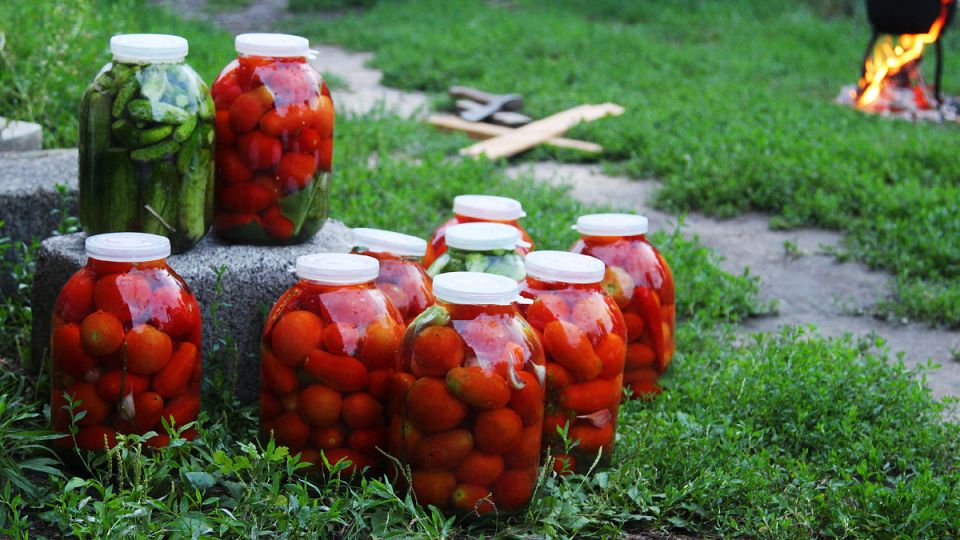 ��� ��������� ������: ��� ������� ������� ��������������� ��� ������������