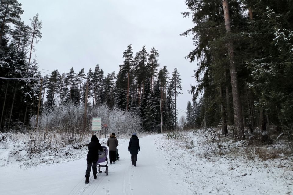 ������ �� ��������� ������������ ��� �������: ������ �������� �� ������� ������